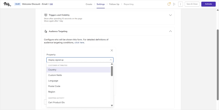 Privy's targeting and display rules