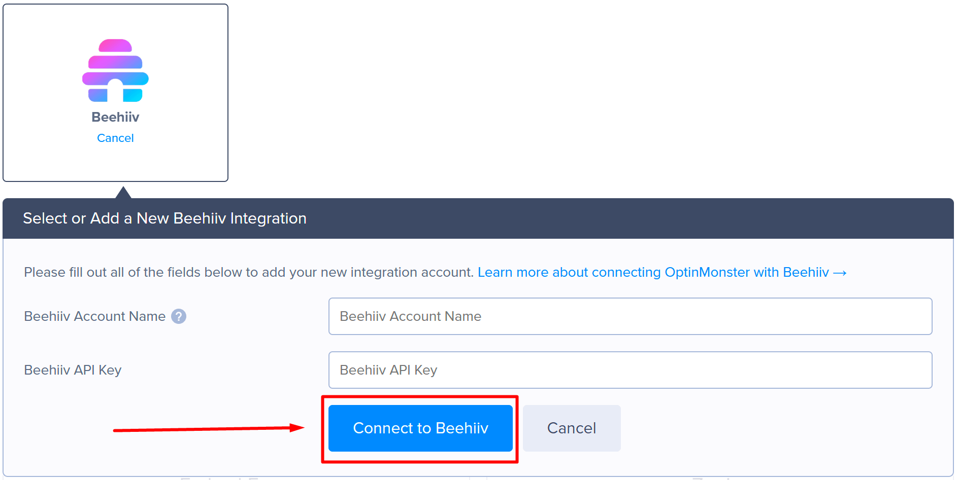Authorize your Beehiiv integration for OptinMonster - OptinMonster Enter API key and Connect to Beehiiv